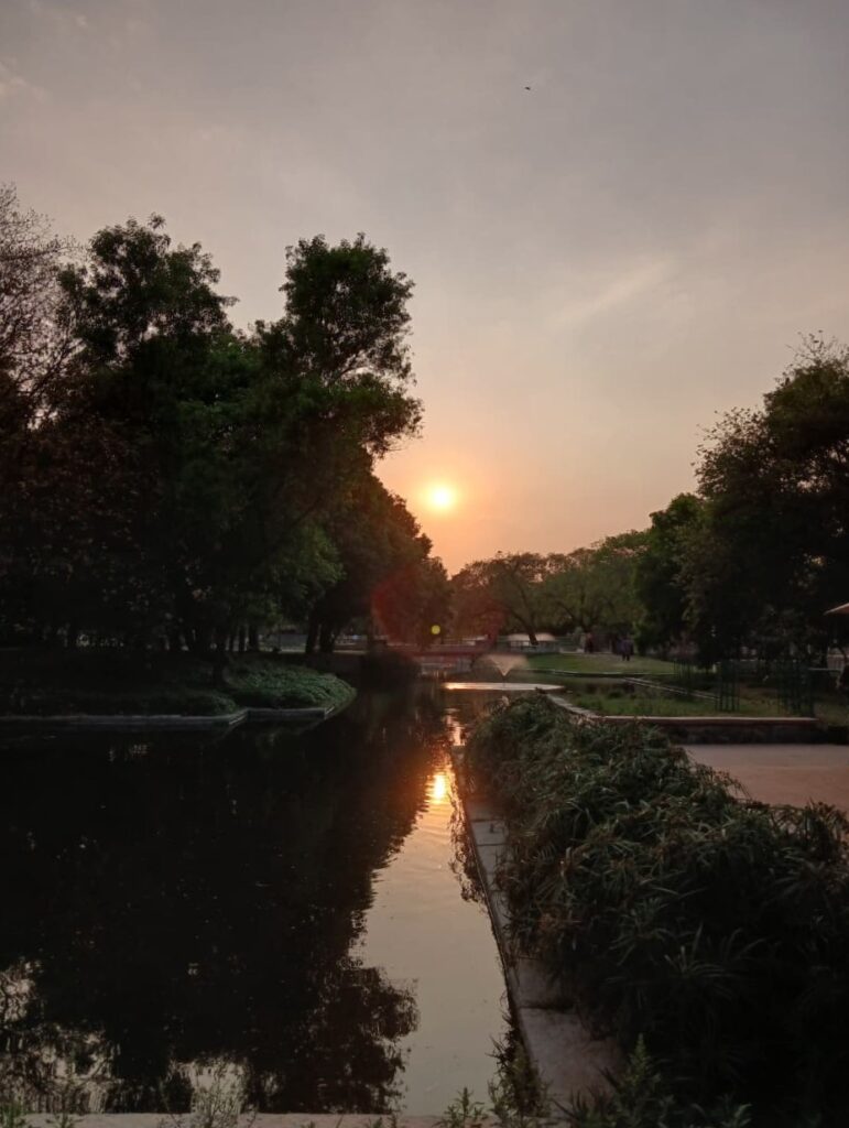 Picture taken from the lake next to Carnatic Cafe, Sunder Nursery, Delhi.
