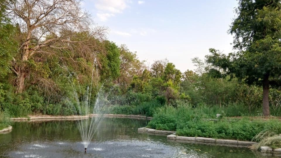 Image of an open space, with an artificial pond, a fountain and some vegetation. (Sunder Nursery, Delhi)